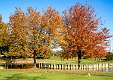 13: 10-28 Autumn Colors on Renaissance Golf Club