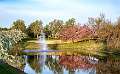 53: 2024-04-17 Renaissance Pond