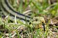 16: MurrellsInlet_2024-172