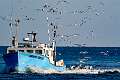 43: 01-25 Fishing Boat With Escorts