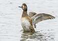 62: 01-30 Stretching  The Wings