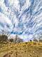 27: 02-22 Clouds Over Fox Cove Farm Meadow