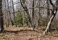 26: 03-31 Red Trail In Allaire State Park