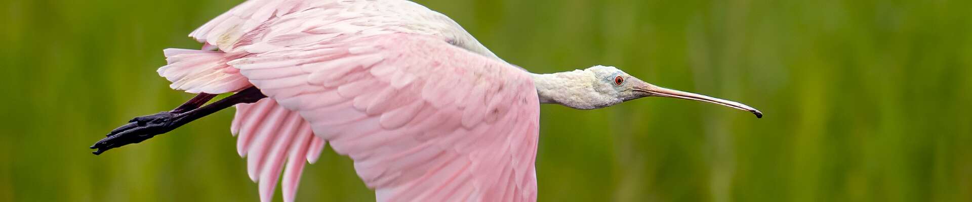 Click to show or hide the buttons