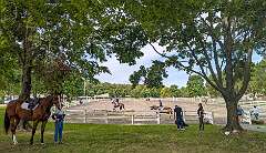 19: HorseParkNJ_2025-28