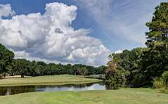 31: Murrells_2025-372