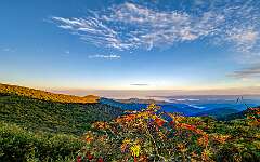 4: Weaverville2025--5