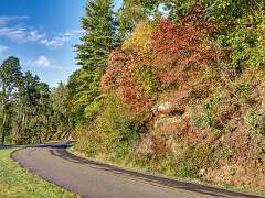 34: Weaverville2025--8