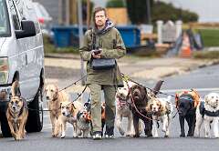 13: 11-19 Dog Walker