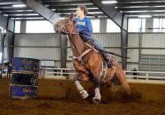 22: HorseParkNJ_2025-82