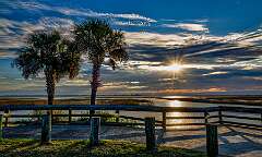 27: Murrells_2025-367