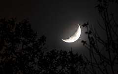 37: Murrells_2025-405