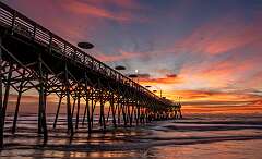 43: Murrells_2025-430