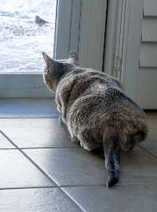 26: 12-16 Libby On The Hunt