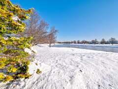 29: 12-16 Snowy 10th Hole