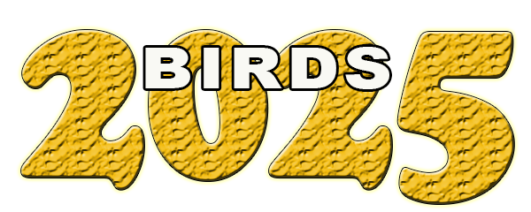 Birds2024