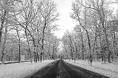 7: 2026-01-19 Snowy Renaissance Drive