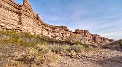 41: Bosque -2026-105