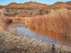 43: Bosque -2026-111