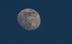 50: Murrells_2026-21