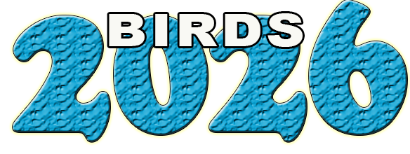 Birds2026