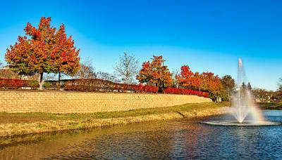 2: Renaissance Foliage_2021-2