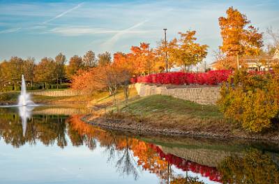 8: Renaissance Foliage_2021-8