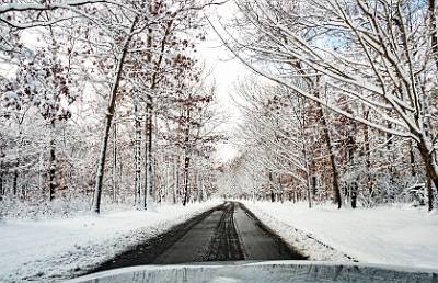 16: winter_2022-14