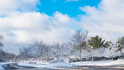 8: winter_2022-6