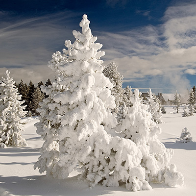 Yellowstone Winter