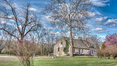 3: BatstoVillage_2022-3