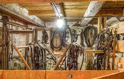 7: BatstoVillage_2022-7