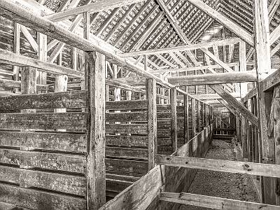 11: Batsto_2025sepia-16