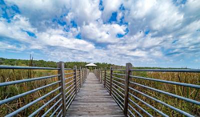 20: MurrellsInlet_2024-322
