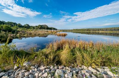 1: MurrellsInlet_2024-324