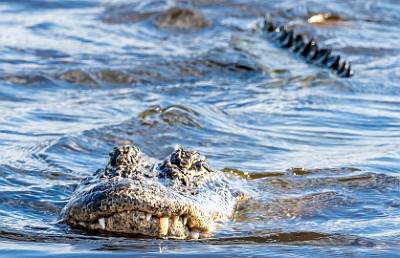 2: MurrellsInlet_2024-357