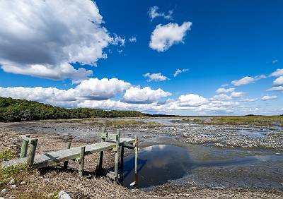 4: MurrellsInlet_2024-358