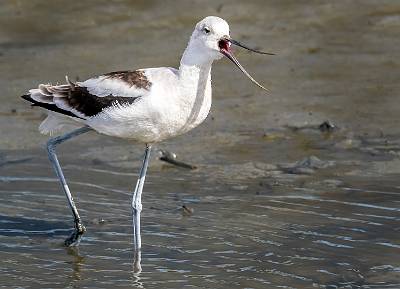 8: MurrellsInlet_2024-364