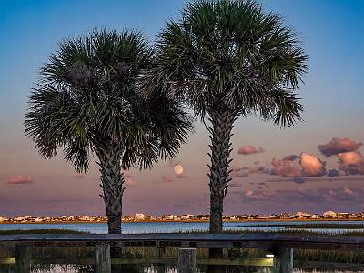 11: MurrellsInlet_2024-368