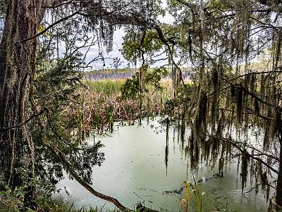 1: MurrellsInlet_2024-400