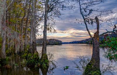 13: MurrellsInlet_2024-421