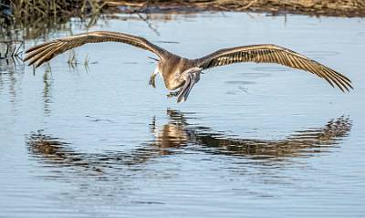 21: MurrellsInlet_2024-440