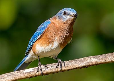 33: MurrellsInlet_2024-467