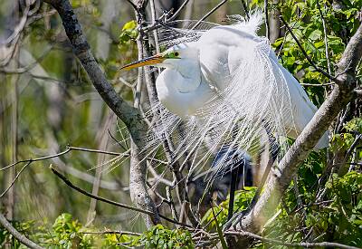 29: Murrells_2025-151