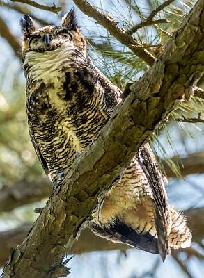 1: Murrells_2025-166