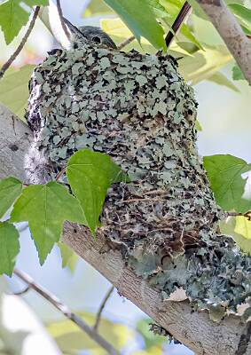 3: Murrells_2025-168