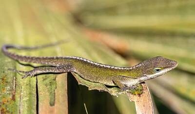 11: Murrells_2025-176