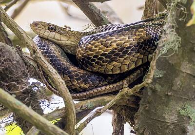 18: Murrells_2025-183