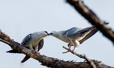 25: Murrells_2025-190