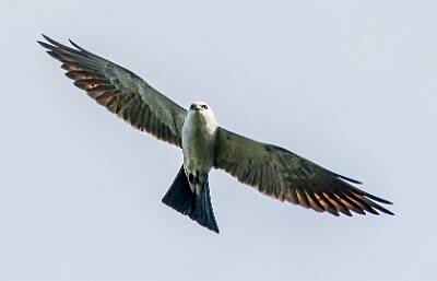 27: Murrells_2025-192